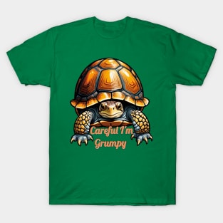 Careful I'm Grumpy T-Shirt